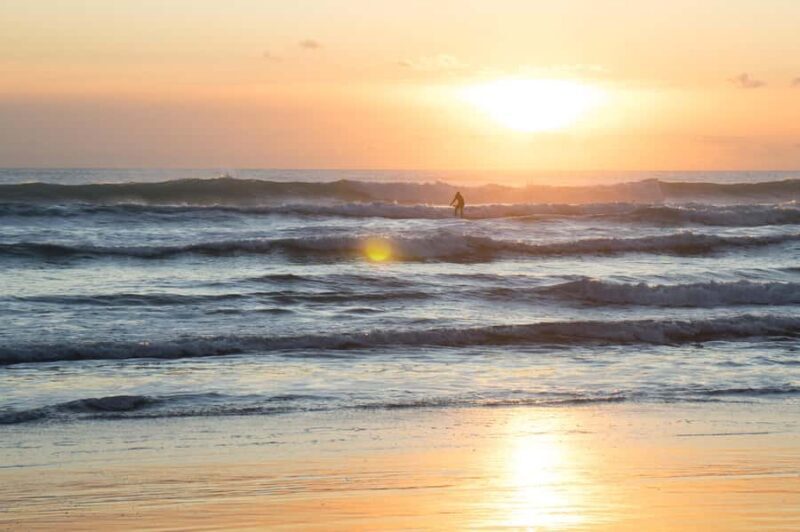 Auckland Private Tour: West Coast Wilderness & Piha Beach - Practical Details and Tips