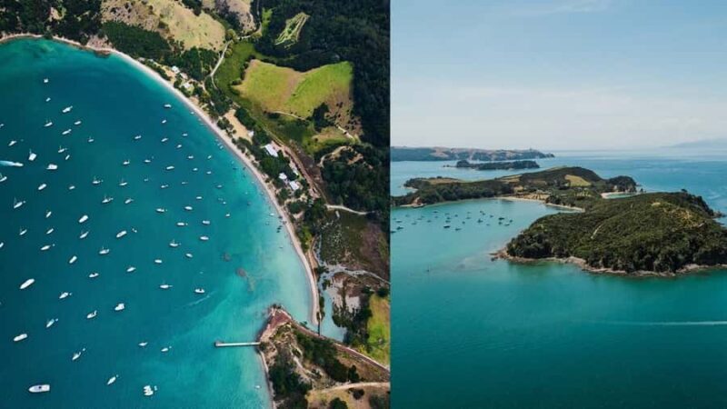Auckland: Rotoroa Island and Man O'War Vineyard Combo Tour - Practical Details: Transportation, Timing, and Group Size