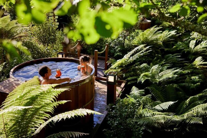 Auckland: Rotorua Highlights w Redwoods Treewalk & Hot Tubs - Overview of the Rotorua Highlights Tour