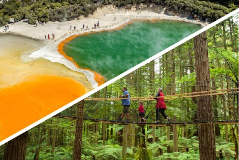 Auckland: Rotorua Highlights w WaiOTapu & Redwoods Treewalk - Exploring the Itinerary in Detail