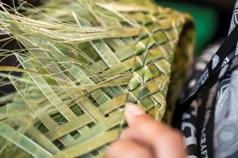 Auckland: Rotorua Highlights with Te Puia Tour, Show & Lunch - Who Will Love This Tour?  