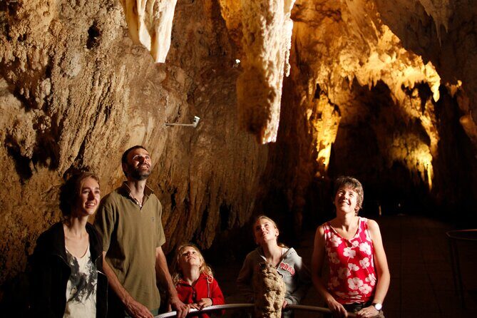 Auckland: Rotorua Mori Village, Waitomo Caves & Lunch - Who Will Love This Tour?