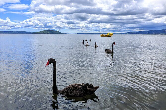 Auckland: Rotorua, Taupo, Waiotapu & Huka Falls Private Trip - Who Will Enjoy This Tour?