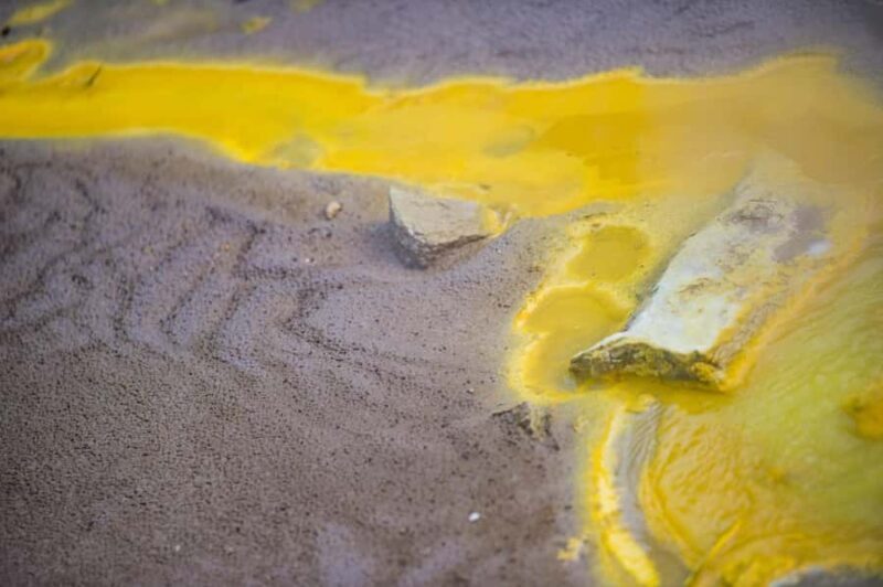 Auckland: Rotorua Tour with Mitai Mori Village & Wai-O-Tapu - Price and Value