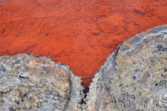 Auckland: Rotorua Tour with Waiotapu, Te Puia and Maori Haka - Who Should Take This Tour?