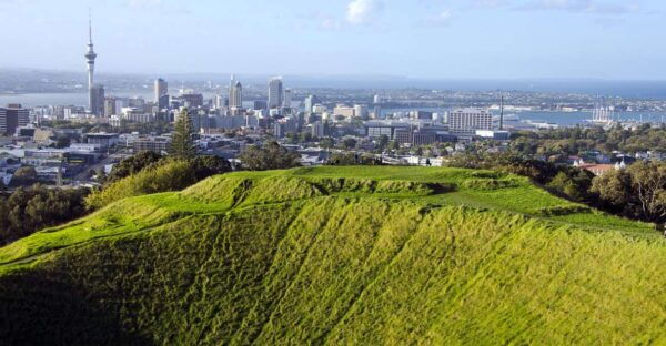 Auckland Scenic Half-Day City Sightseeing Tour - The Sum Up