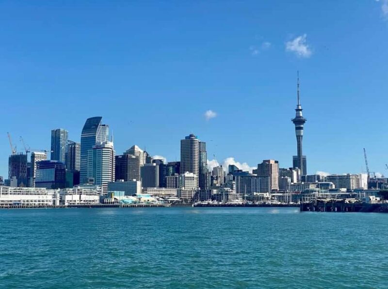 Auckland: Scenic Wine and Cheese Harbour Cruise - The Sum Up