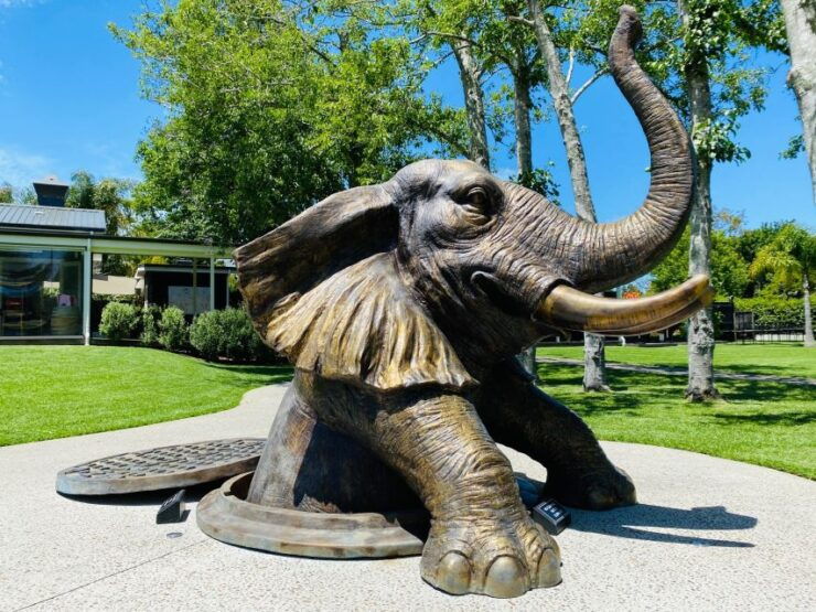 Auckland: Sculptureum Gardens and Galleries Entry Ticket - Experience at Sculptureum Gardens and Galleries