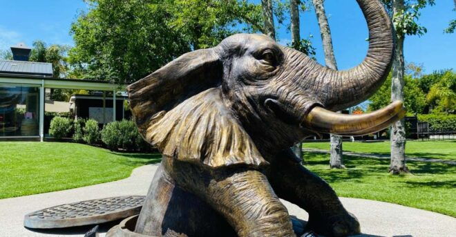 Auckland: Sculptureum Gardens and Galleries Entry Ticket - Participants and Date