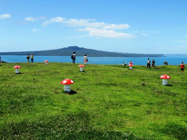 Auckland: Segway Tour to Mount Victoria - Common Questions