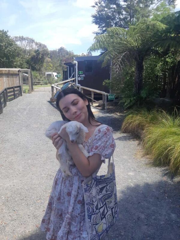 Auckland: Sheepworld, Honey Centre, & Kauri Trail Tour - Good To Know