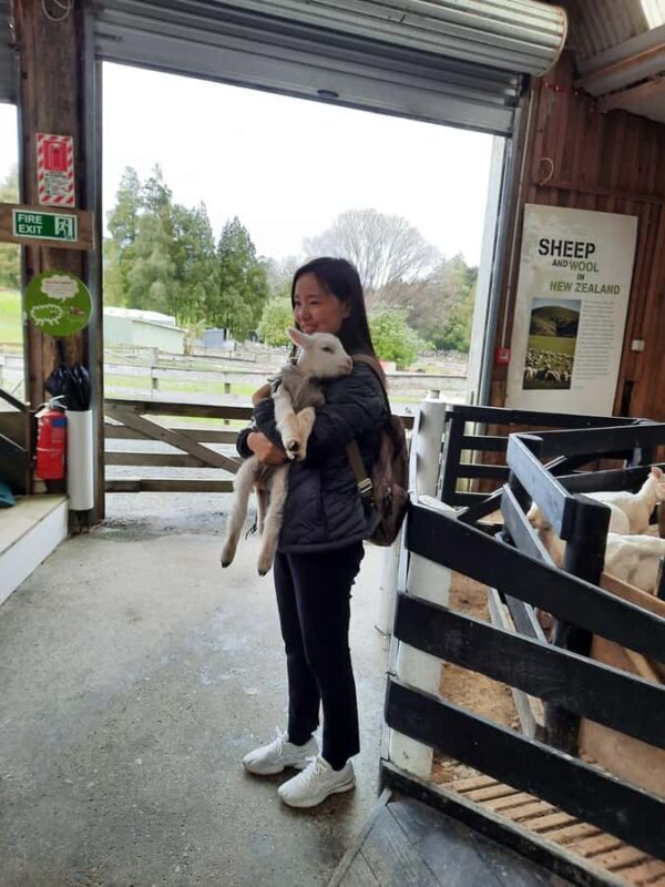 Auckland: Sheepworld, Honey Centre, & Kauri Trail Tour - Pricing and Value Considerations