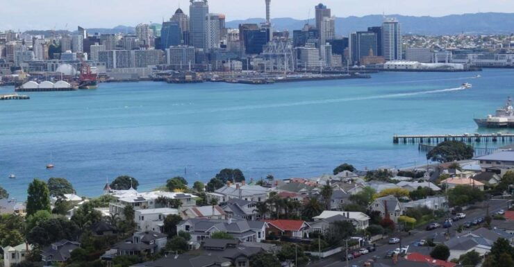 Auckland: Ship to Shore Half-Day Excursion - Activity Overview