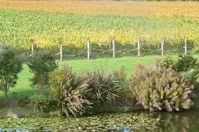 Auckland Shore Excursion: West Coast Wineries Tour - Port Pickup and Drop-off