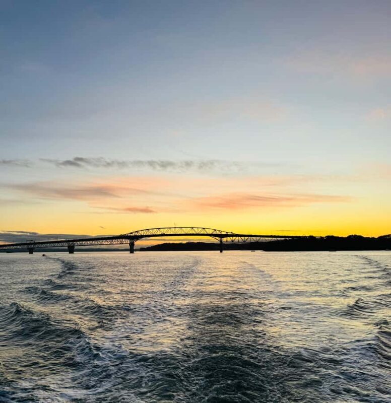 Auckland Sunset Harbour Cruise - Real-Life Insights from Reviewers