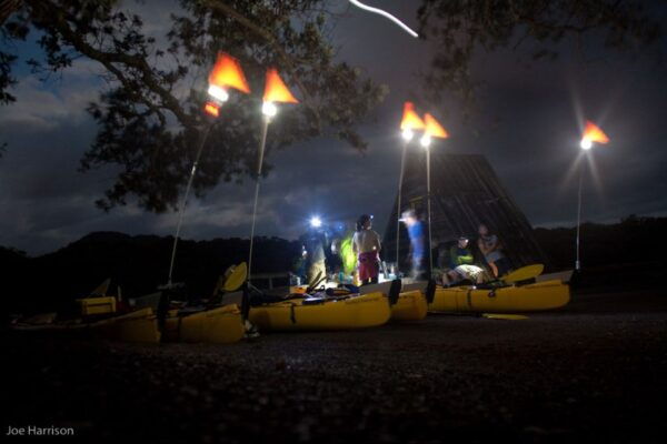 Auckland: Sunset & Night Sea Kayak Tour to Rangitoto Island - Common Questions