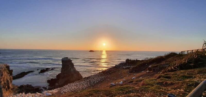 Auckland: Sunset Tour with Thermal pool & Wine Tasting - Good To Know