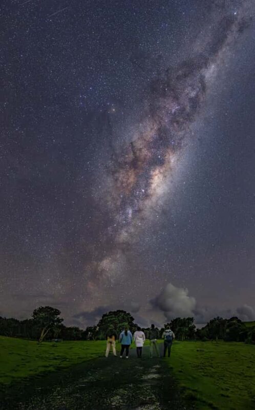 Auckland (Tawharanui): Wild Kiwi Bird Spotting Encounter - An In-Depth Look at the Tawharanui Night Adventure
