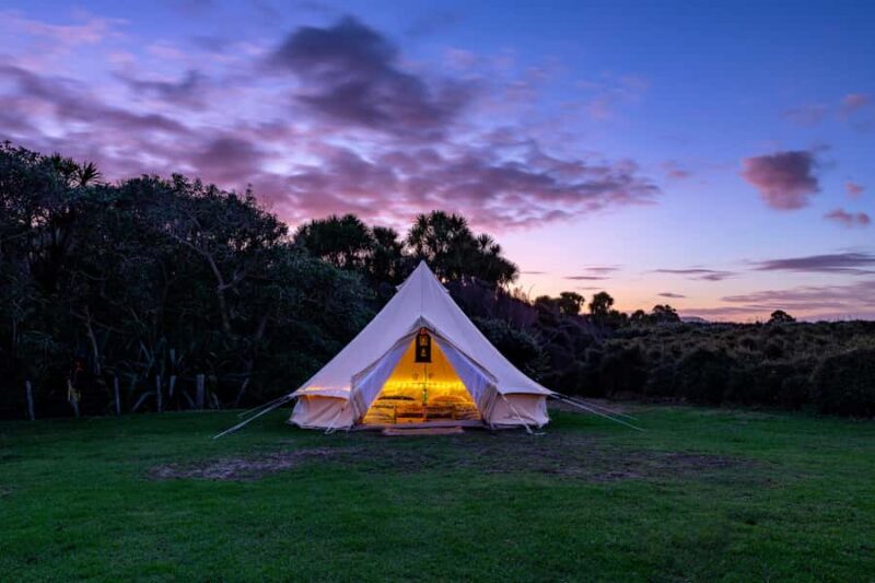 Auckland (Tawharanui): Wild Kiwi Bird Spotting Encounter - FAQ