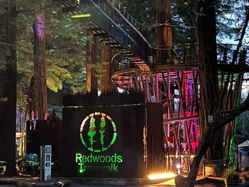 Auckland: TE PUIA Rotorua, Redwood & Blue Springs Day Tour - Who Would Love This Tour?