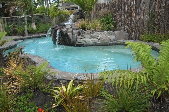 Auckland Thermal Pool and Muriwai Beach Sunset Day tour - A Closer Look at the Itinerary