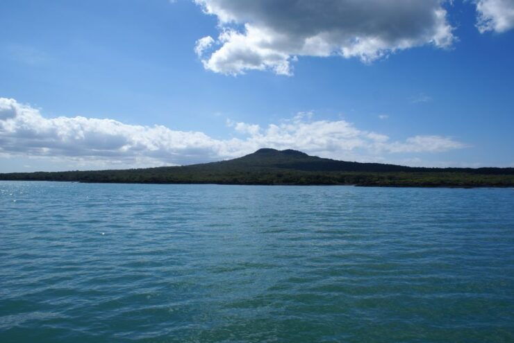 Auckland: Tikapa Moana Whales and Dolphins Wildlife Cruise - Activity Details