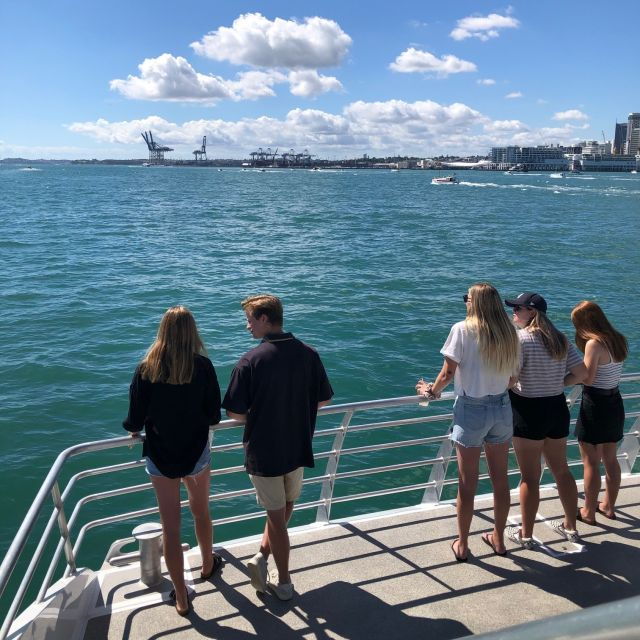 Auckland: Tikapa Moana Whales and Dolphins Wildlife Cruise - Customer Reviews