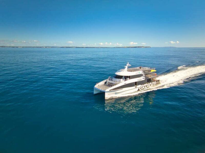 Auckland: Tikapa Moana Whales, Dolphins and Islands Cruise - Practical Details That Matter
