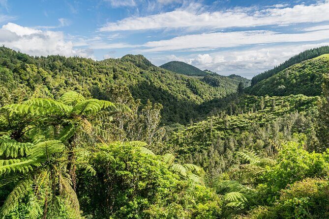 Auckland to Hobbiton Private Tour Shire Movie Set and Waikato - Good To Know