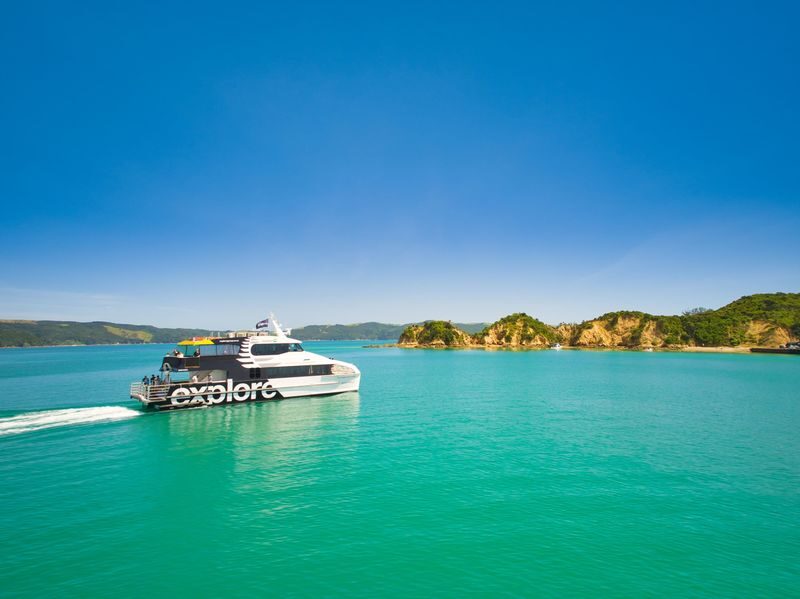 Auckland to Man O War (Waiheke Island) - Return Ferry - At a glance