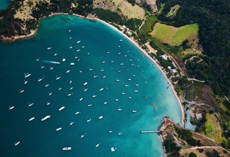 Auckland to Man O War (Waiheke Island) - Return Ferry - Getting to the kiosk and making the day run smoothly