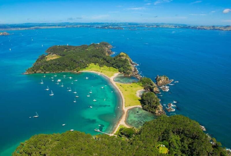 Auckland to Paihia via West Coast Small Group Tour (One Way) - Good To Know
