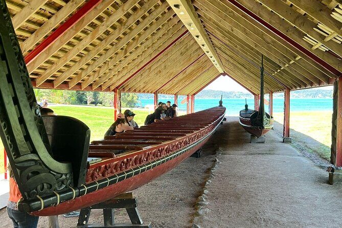 Auckland to Paihia via West Coast Small Group Tour (One Way) - Introduction