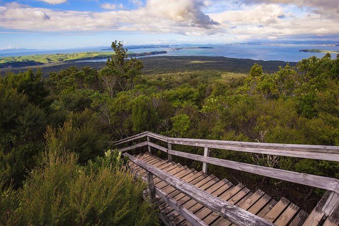 Auckland to Rangitoto Island Ferry - How the Tour Unfolds