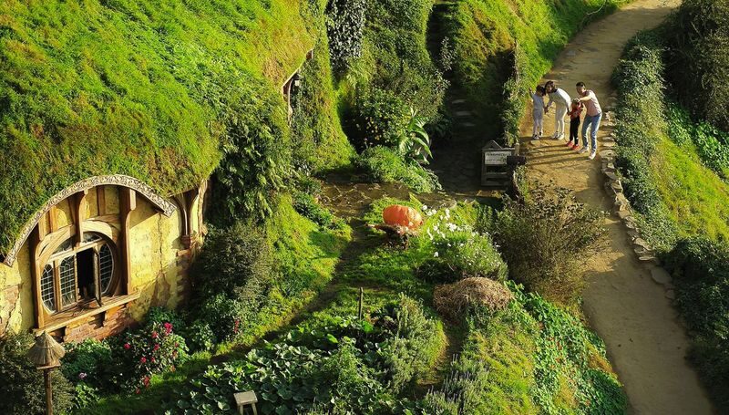 Auckland to Rotorua: Hobbiton & Waitomo Tour with Picnic Lunch - The day in brief