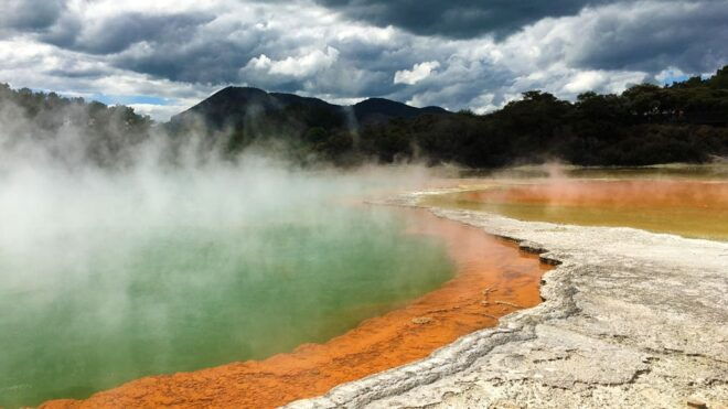 Auckland to Rotorua Small Group Tour & Activity Add-Ons - Customer Reviews