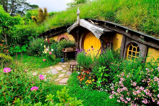 Auckland to Rotorua via Hobbiton Movie Set One-Way Private Tour - Cancellation Policy