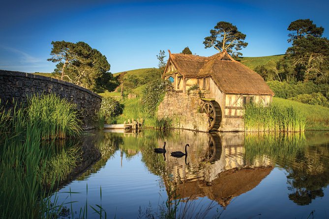 Auckland to Rotorua via Hobbiton Movie Set Tour - One Way - Cancellation Policy