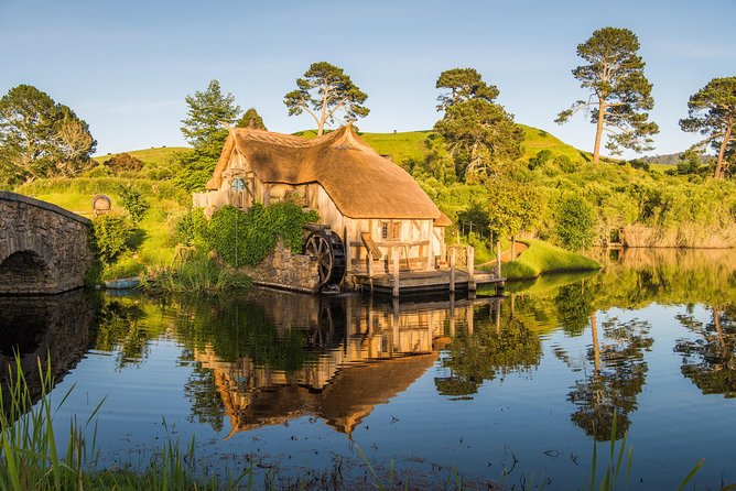 Auckland to Rotorua via Hobbiton Small Group Tour (One Way) - Booking and Availability