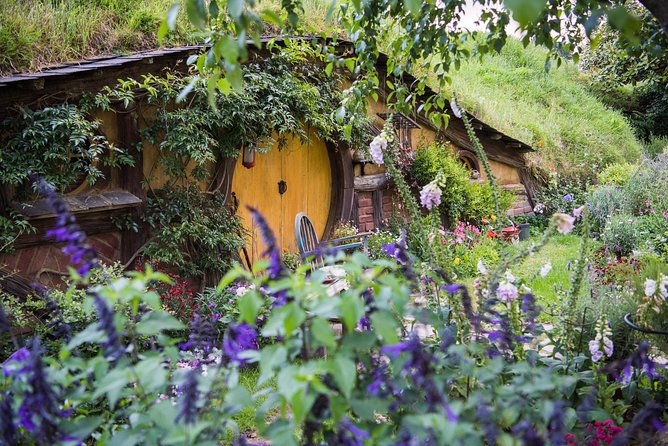 Auckland to Rotorua via Hobbiton Small Group Tour (One Way) - Traveler Photos