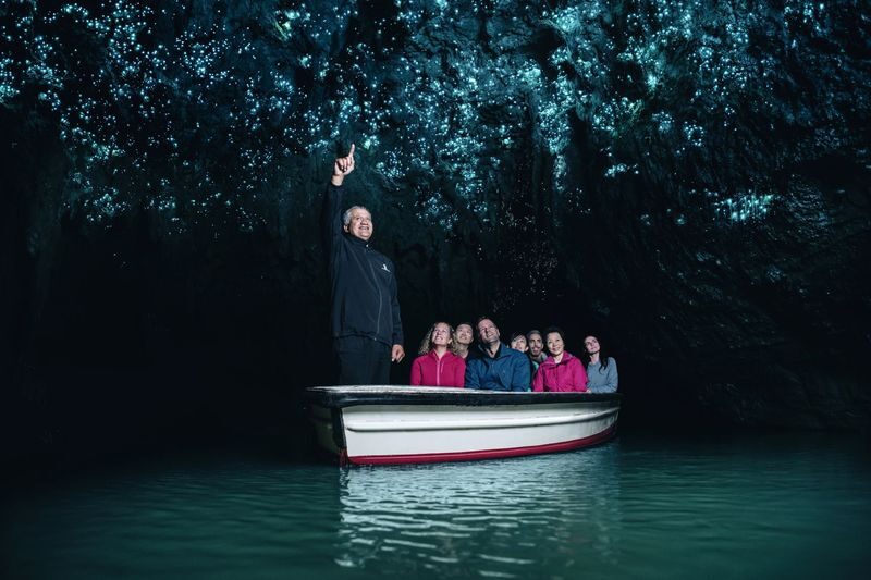 Auckland to Rotorua via Hobbiton & Waitomo (One-Way) Small Group Tour - Key points to know