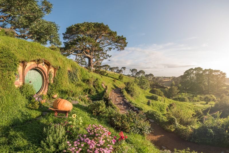 Auckland to Rotorua via Hobbiton & Waitomo (One-Way) Small Group Tour - Waitomo: a second kind of attraction