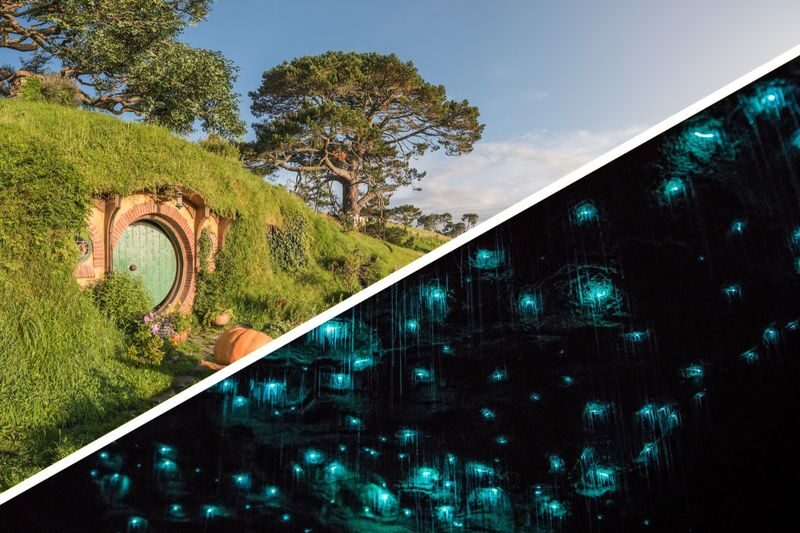 Auckland to Rotorua via Hobbiton & Waitomo (One-Way) Small Group Tour - Small-group format and the guide