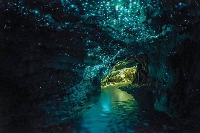 Auckland to Rotorua via Waitomo Caves Small Group Tour (One Way) - Waitomo Caves Experience