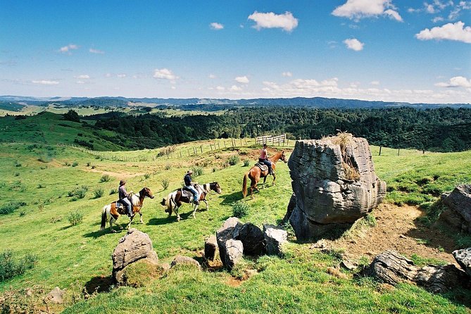 Auckland to Waitomo Caves Private Tour - Inclusions