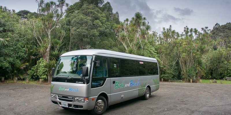 Auckland Urban and Nature Highlights Small Group Tour - Arataki Visitor Centre and Māori carvings