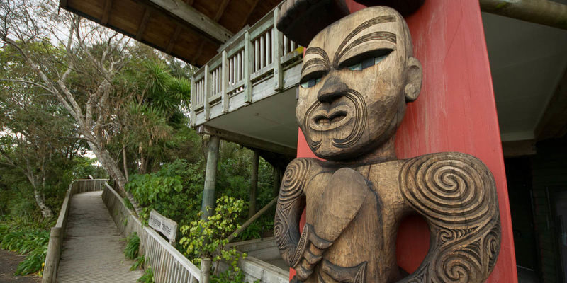Auckland Urban and Nature Highlights Small Group Tour - Piha’s black sand and dramatic coast