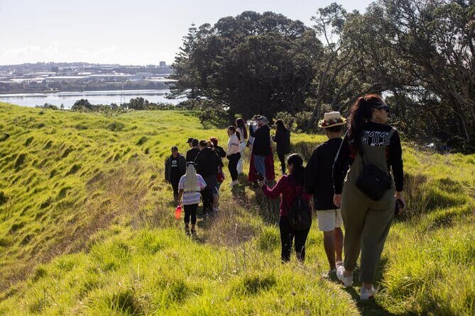 Auckland Urban Mori Experience - Small Group Tour In Auckland - A Deep Dive into the Experience