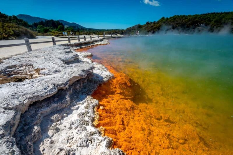 Auckland: Wai-O-Tapu and Lake Taupo Private Day Tour - Honey Tasting and Relaxation