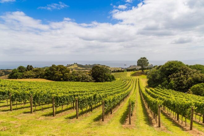 Auckland: Waiheke Island Fast Ferry Pass - Additional Information